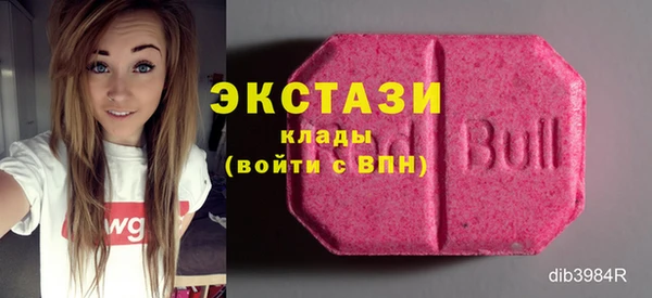 ECSTASY Лагань