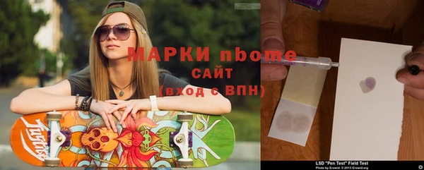 ECSTASY Лагань