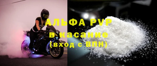 ECSTASY Лагань
