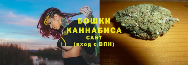 не бодяженный Ладушкин