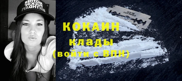 ECSTASY Лагань