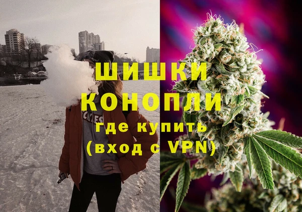 не бодяженный Ладушкин