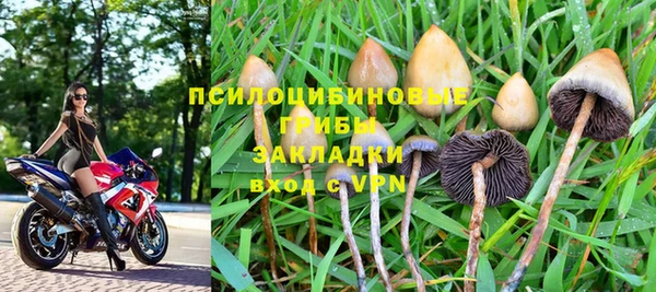 не бодяженный Ладушкин