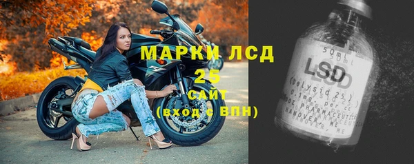 ECSTASY Лагань