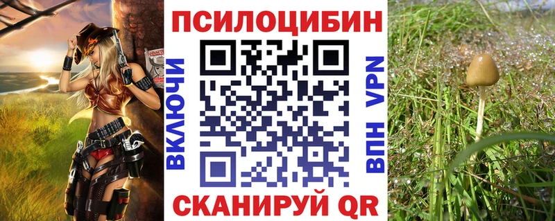 mega зеркало  Екатеринбург  Псилоцибиновые грибы ЛСД 