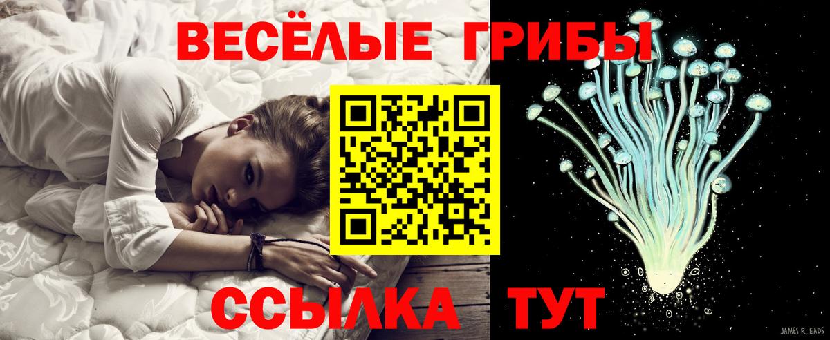 Галлюциногенные грибы Psilocybe  Псилоцибиновые грибы ЛСД  Вход с VPN  где продают наркотики  Екатеринбург 
